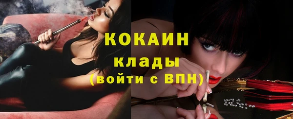 соль ск Белокуриха