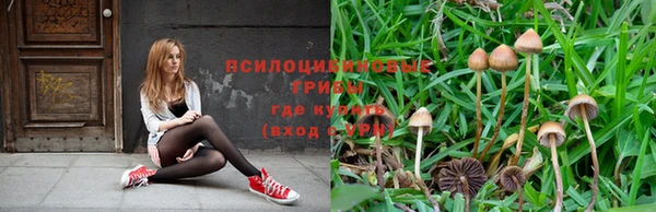 соль ск Белоозёрский