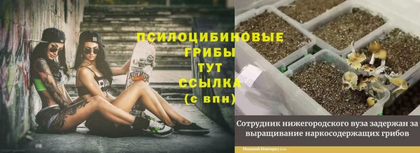 соль ск Белокуриха