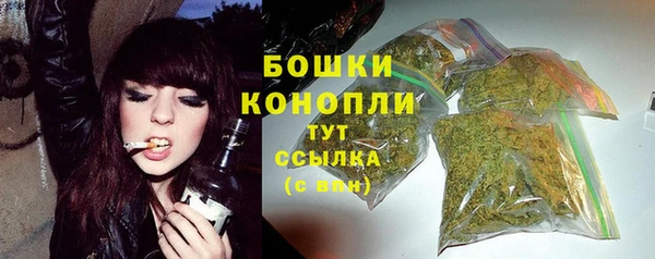 соль ск Белокуриха