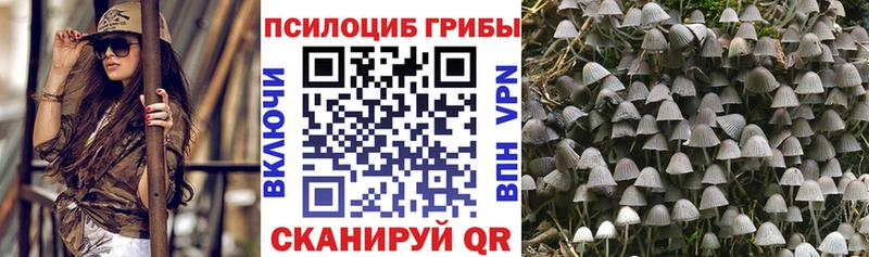 Псилоцибиновые грибы прущие грибы  Гаврилов-Ям 